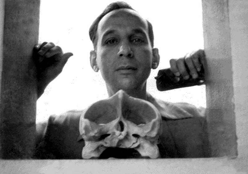 libros gay escritores latinos virgilio piñera