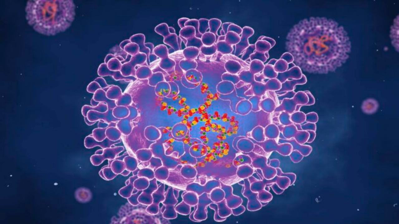 monkeypox viruela del mono simio