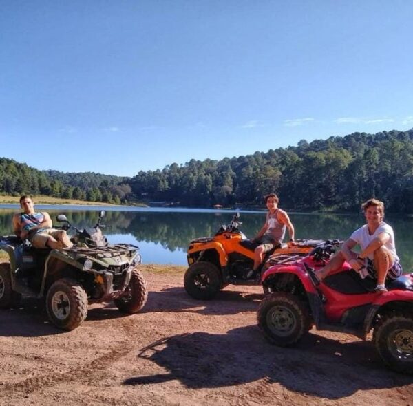 Polo morín elenco quien mató a sara