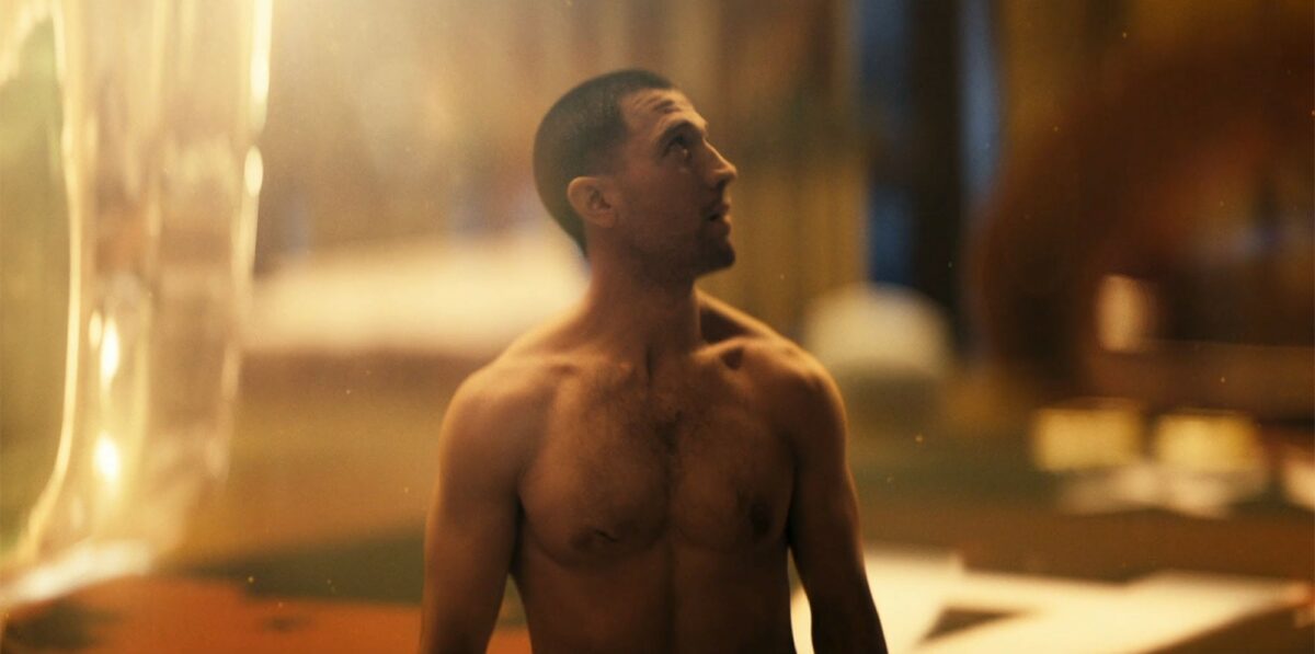 The termite the boys gay