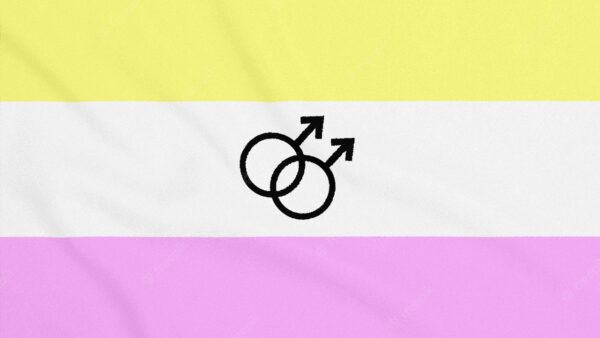 bandera twink gays gay hombre
