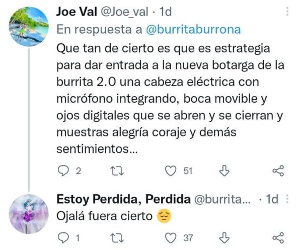 Burrita Burrona tuit