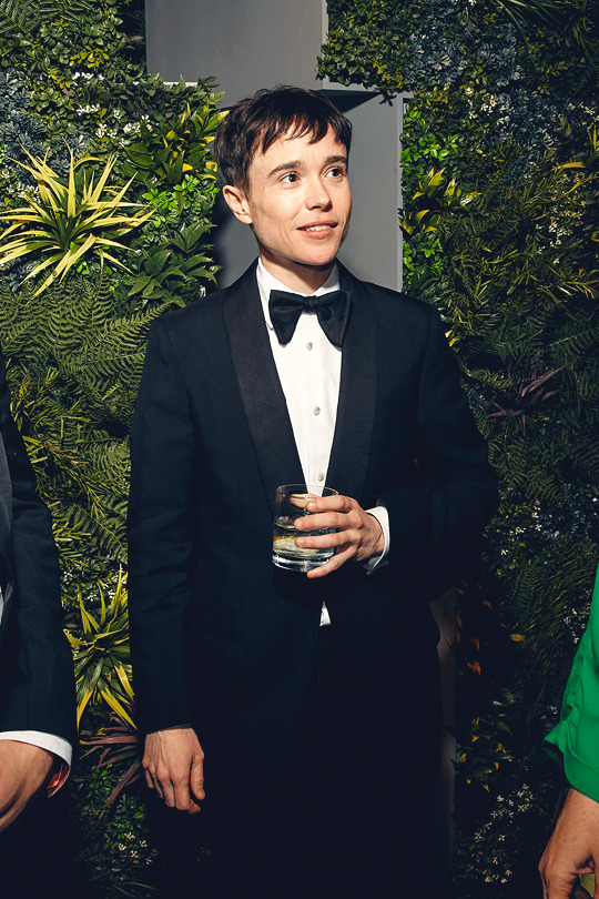 fiesta de los óscares