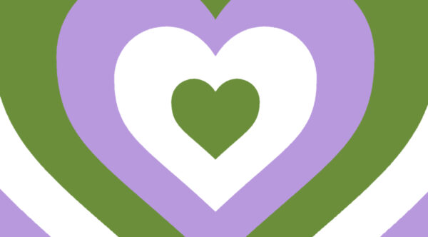 genderqueer colores bandera