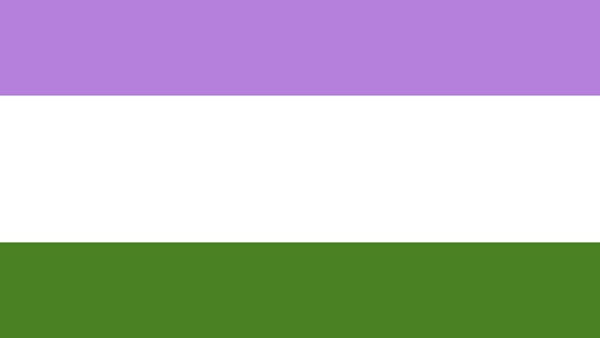 genderqueer cuirgénero bandera colores significado