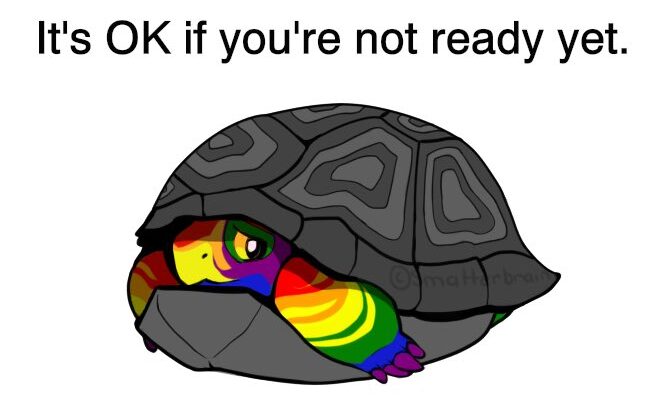 tortuga salir del clóset