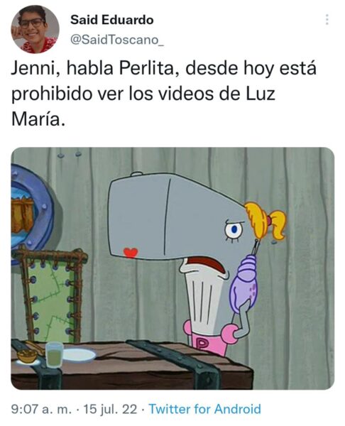 Luz maría fraude memes