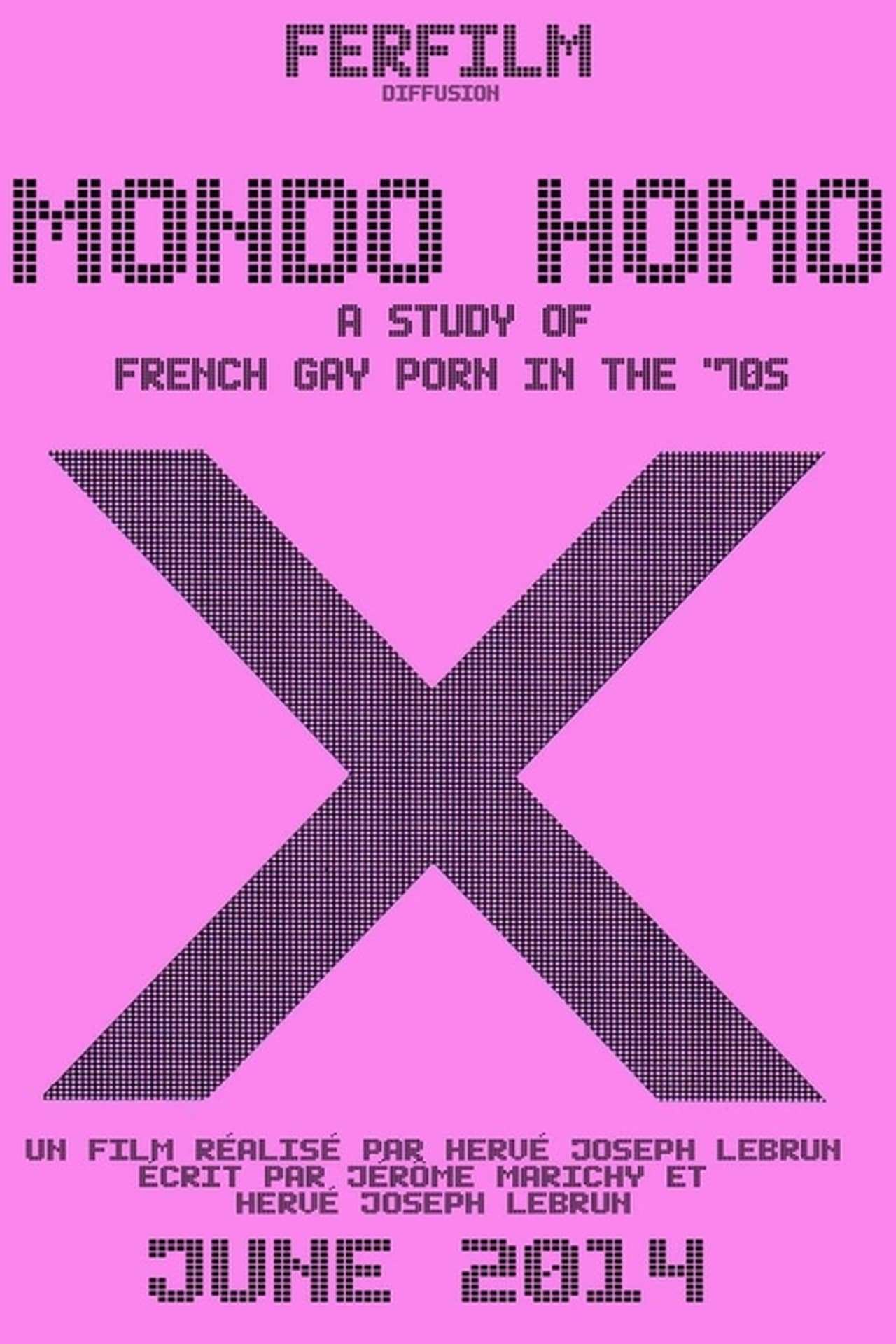 Mondo homo: a study of french gay porn in the 70s (Hervé Joseph Lebrun, 2009)