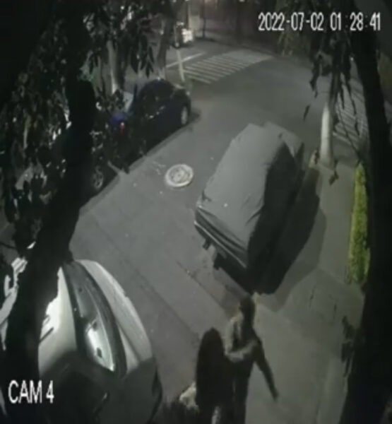 novias besaban abrazaban ladrillo coyoacán cdmx video