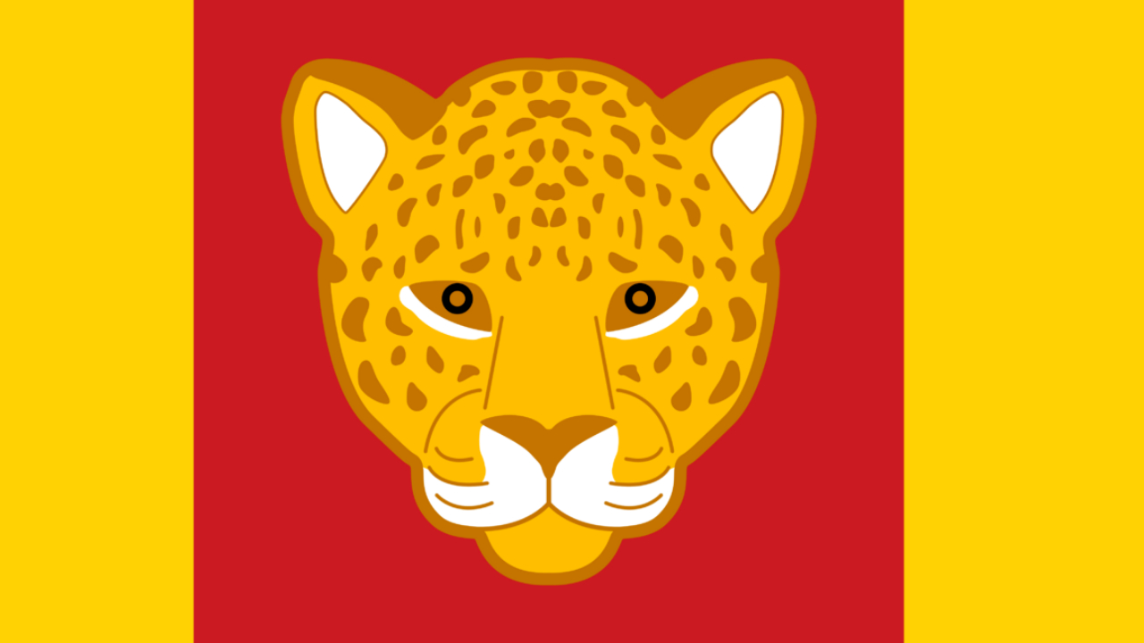 quariwarmi no binaria nb cultura inca