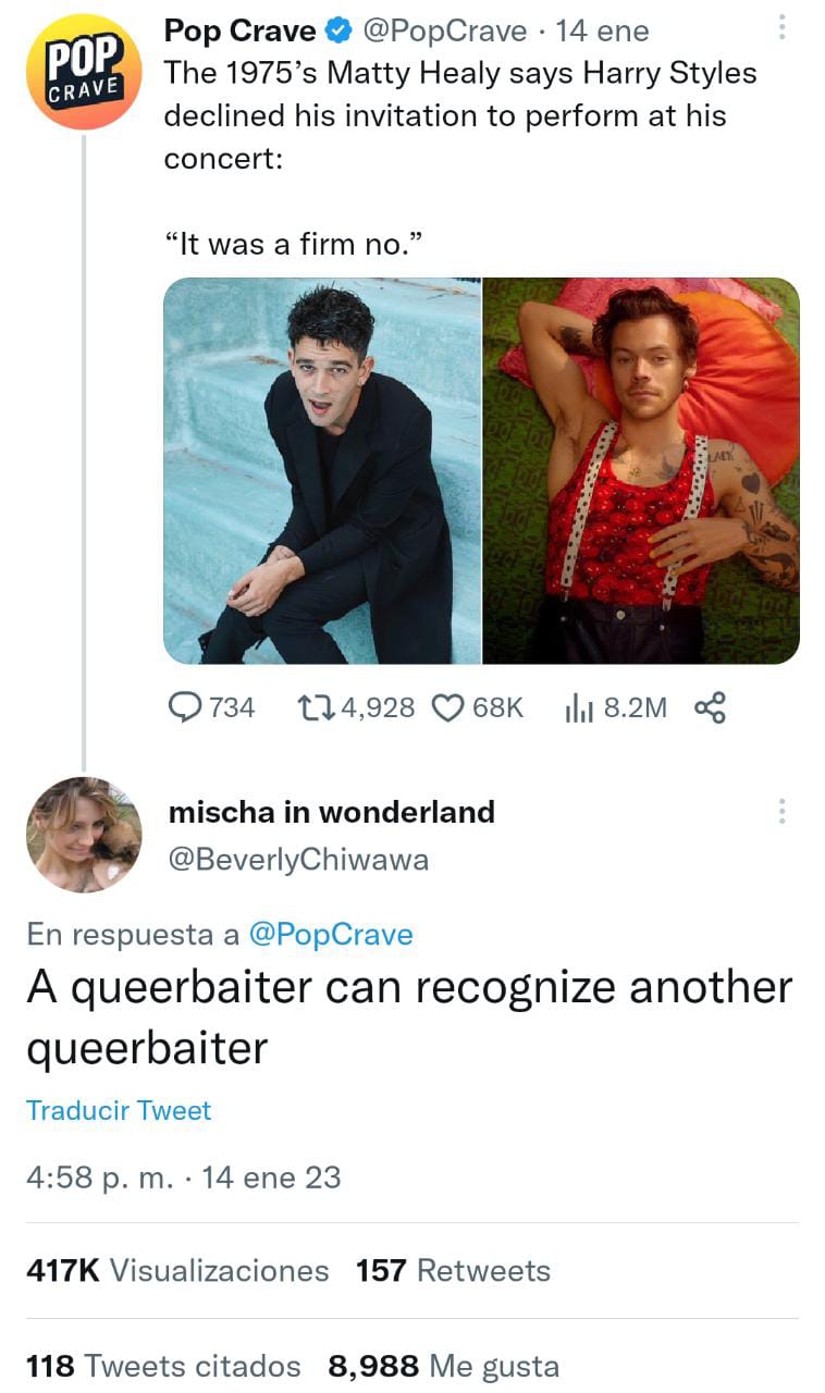 Matty Healy queerbait