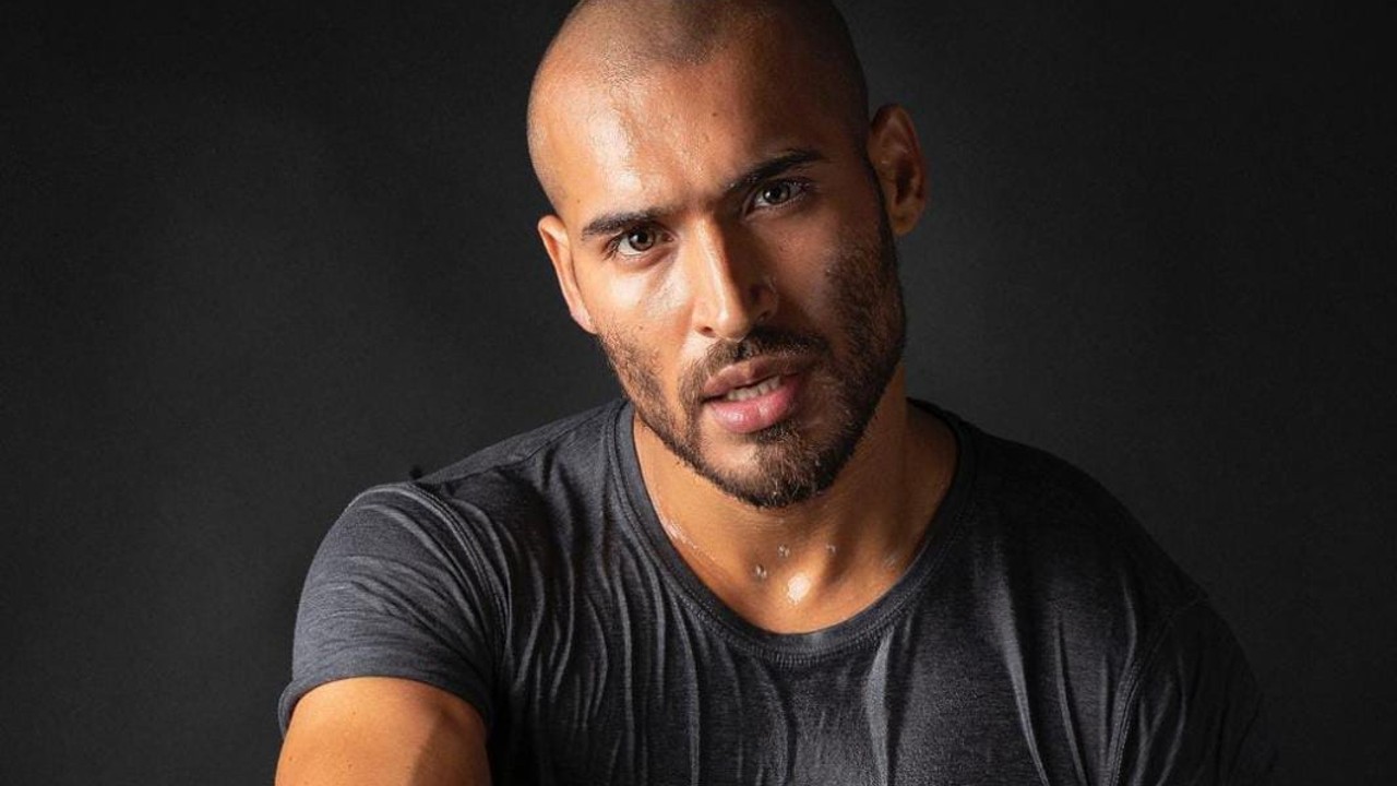 pogonofilia qué es qué significa significado barba definición