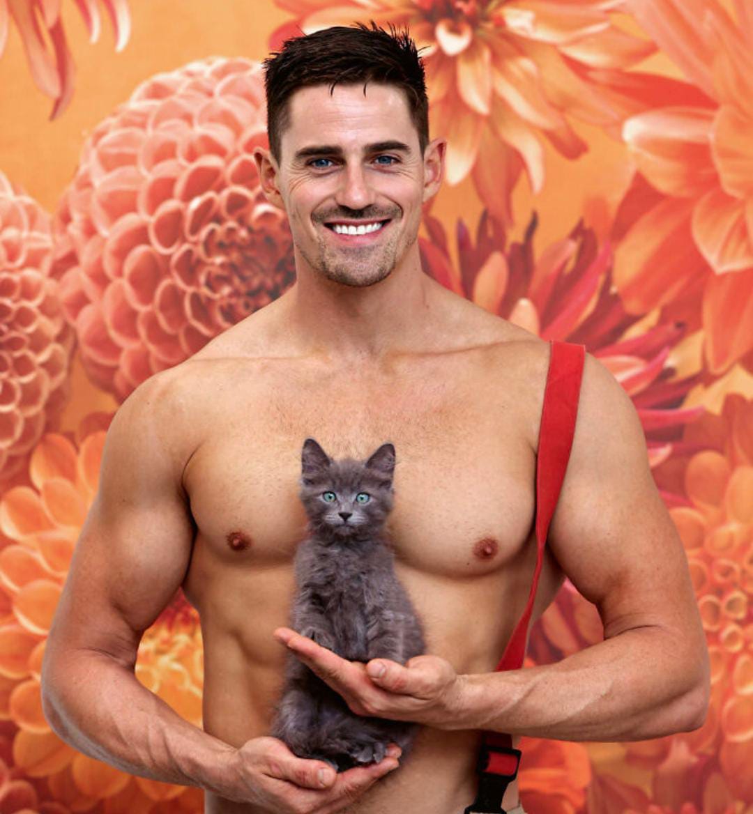 gatito en calendario de bomberos de australia