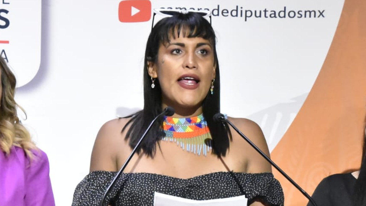 diputada federal María Clemente García Moreno video sexual