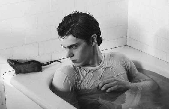 evan peters tina famosos entusiasmado tomar baño gay bisexuales