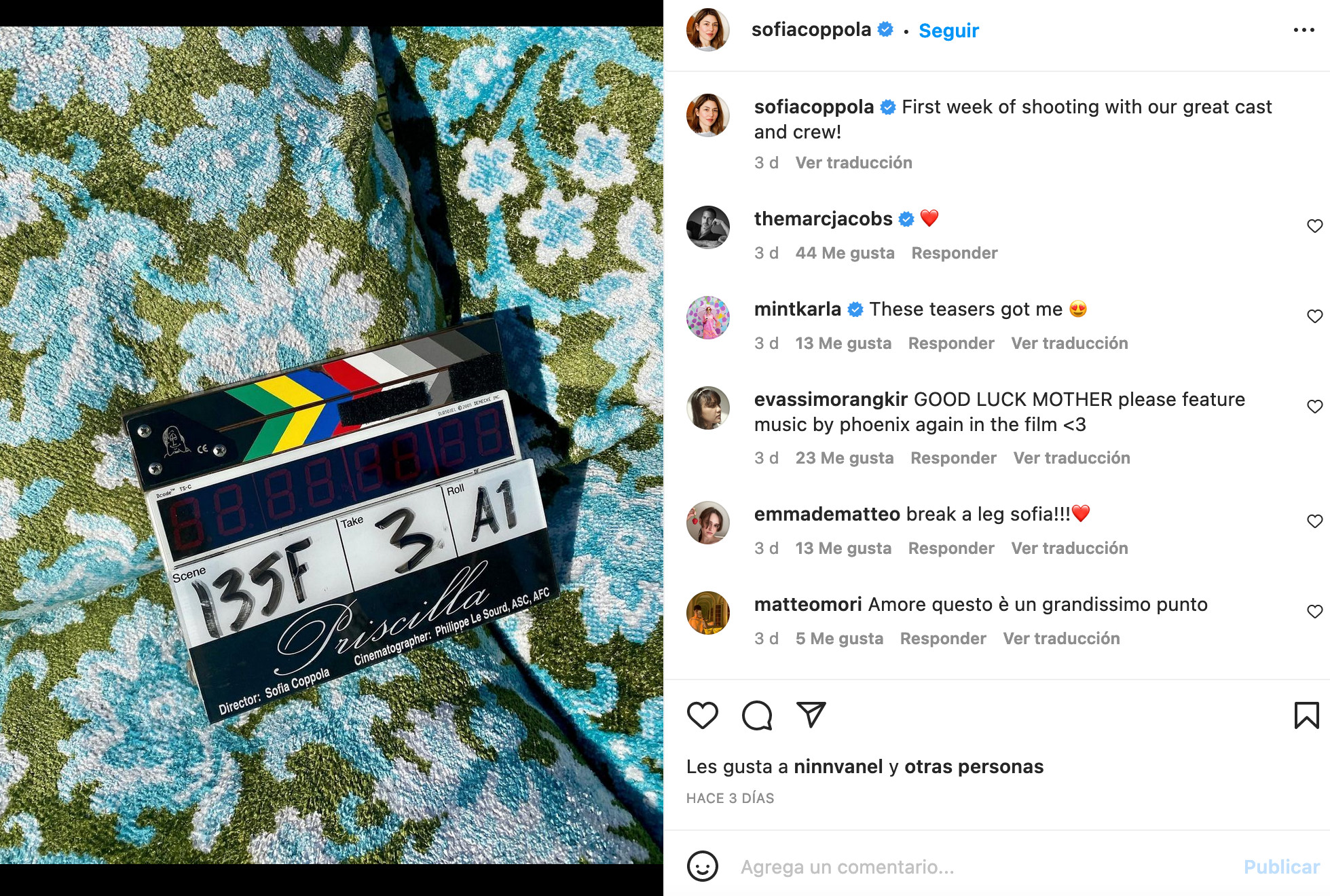 sofia coppola priscilla