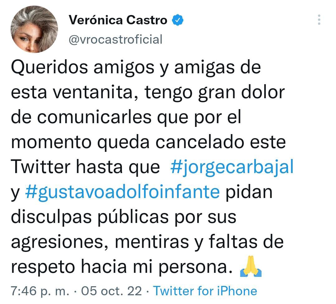 Verónica Castro cancela Twitter