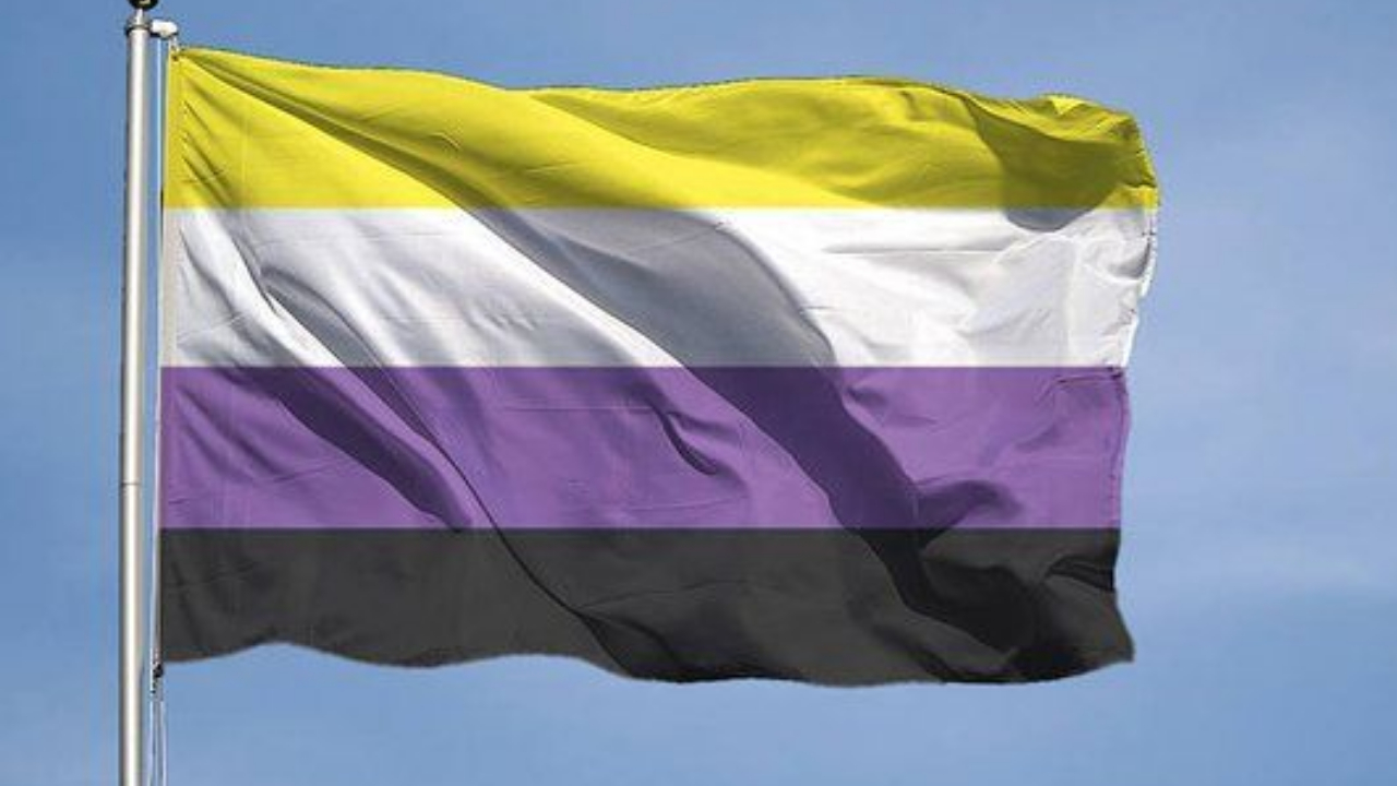 Hidalgo primer estado reconocer personas no binarias NB