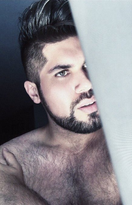 Letal la más draga oso gay