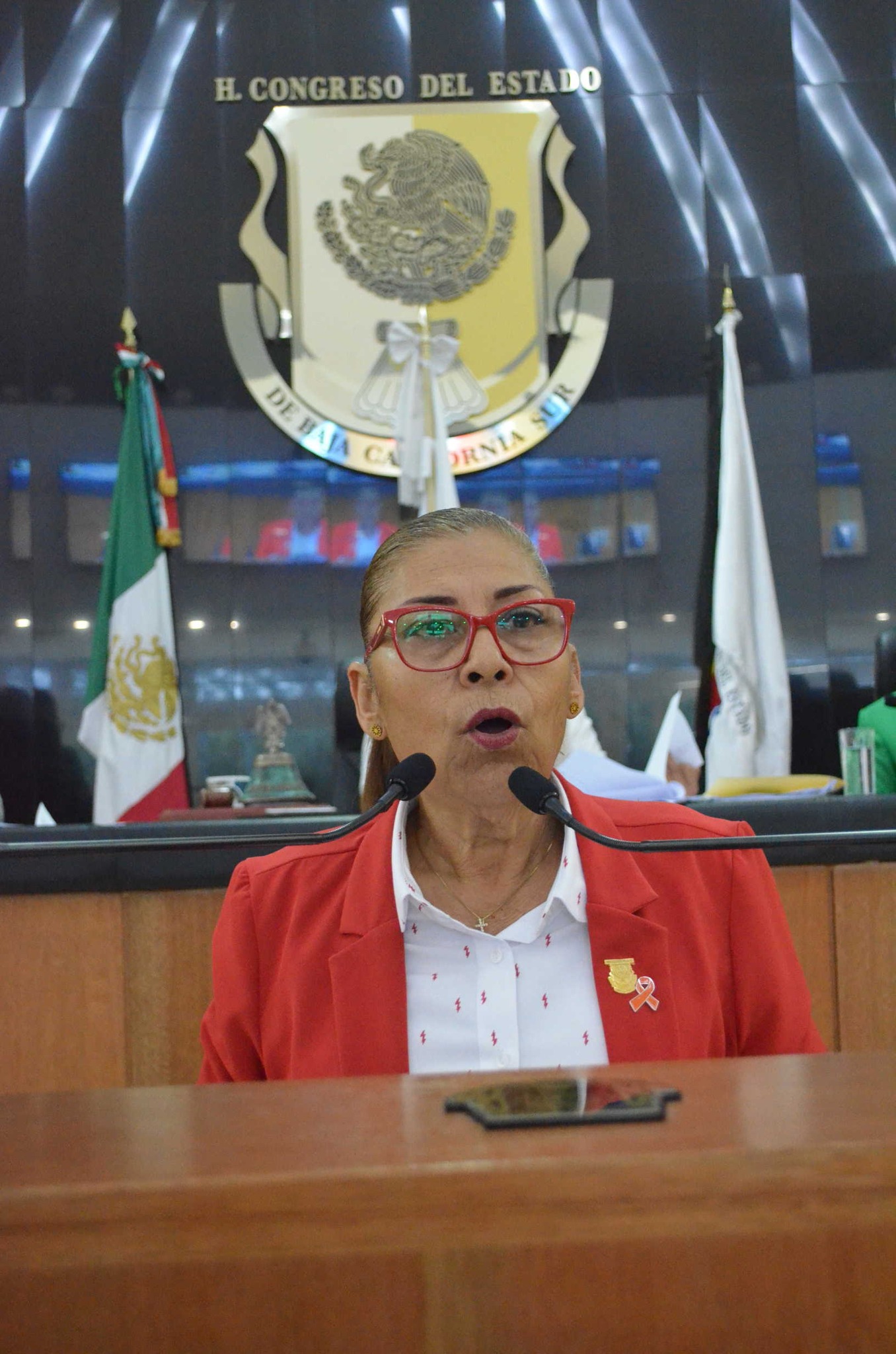 María Guadalupe Moreno BCS