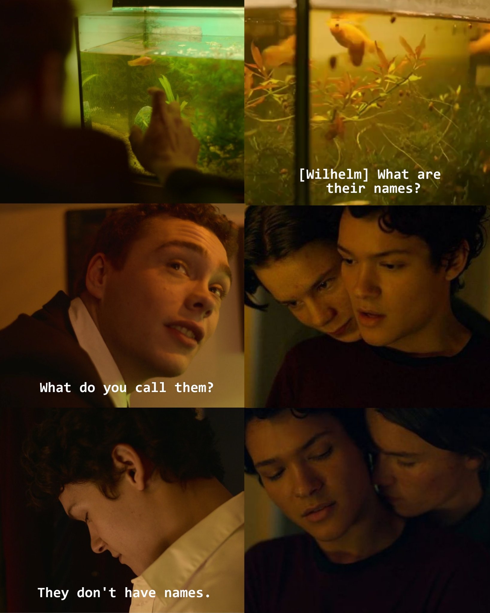 young royals wilmon momentos favoritos 