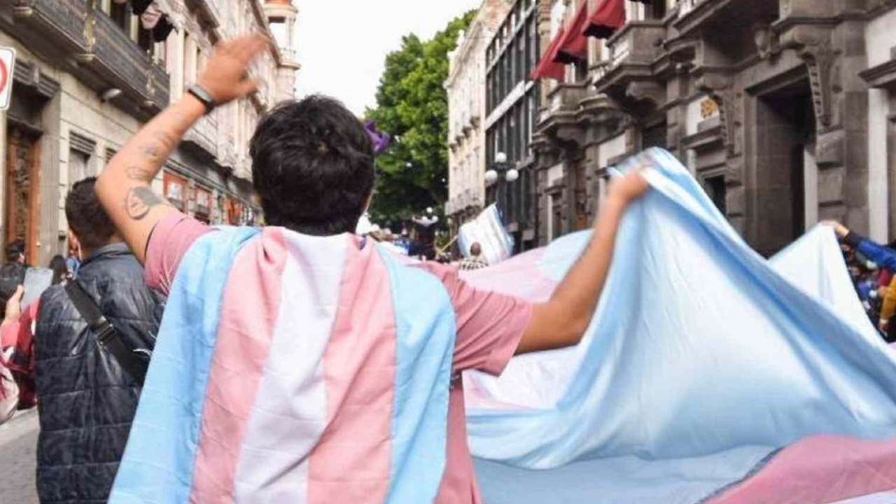 falsificación Primoteston Depot testosterona México Cofepris portada