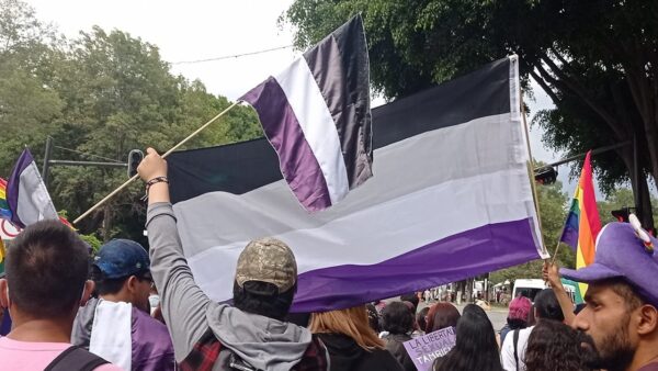 Test para saber si eres parte del espectro asexual - Homosensual
