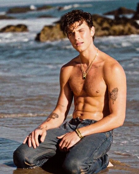 Shawn Mendes en la playa