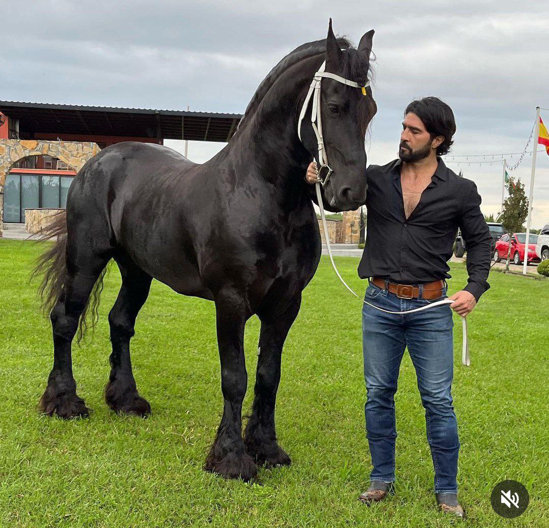 caballo y actor