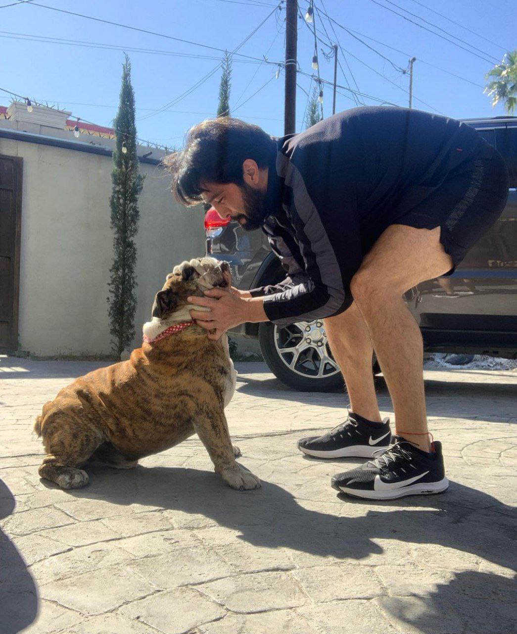 Perro del exfutbolista y actor