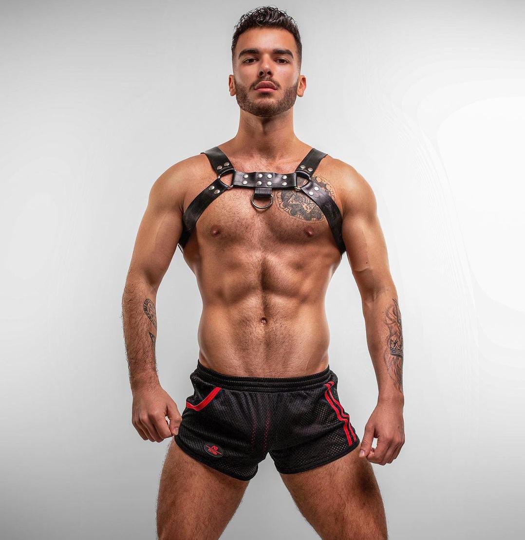 Pol Prince actor gay