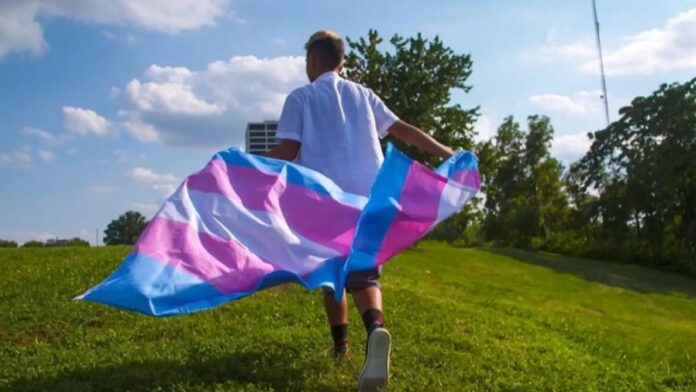 Películas series documentales infancias trans transhood