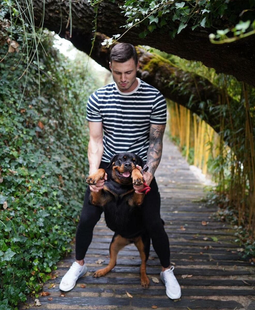 Mascota del actor perro 