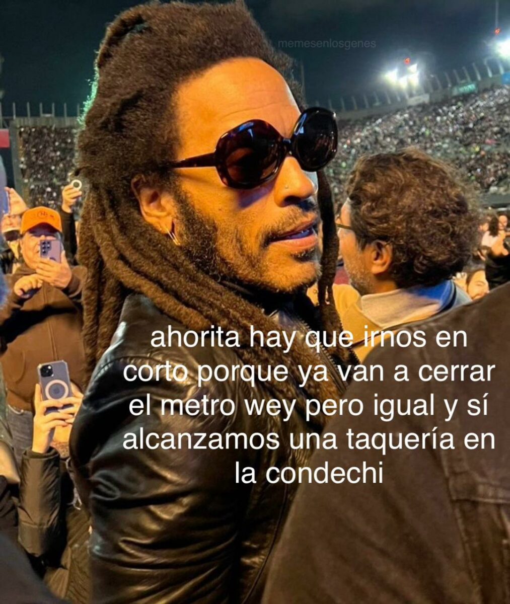 cantante en concierto de paul mccartney