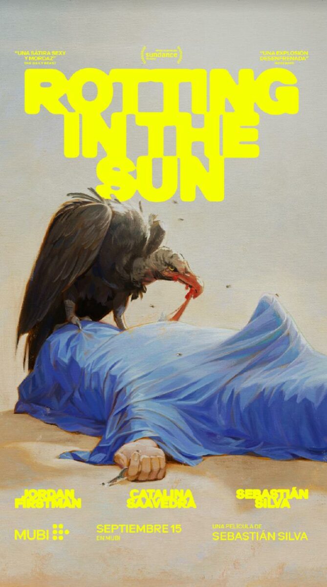 póster de la película