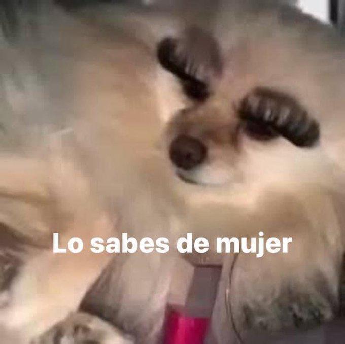 Y lo sabes de mujer meme foto lgbt