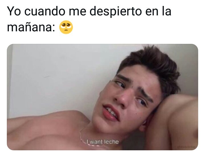 Quiero Leche I want leche