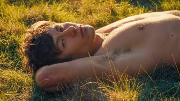 barry-keoghan-saltburn-actor-sexualidad-pareja-biografia-fotos Barry Keoghan actor saltburn biogafía sexulidad pareja gay