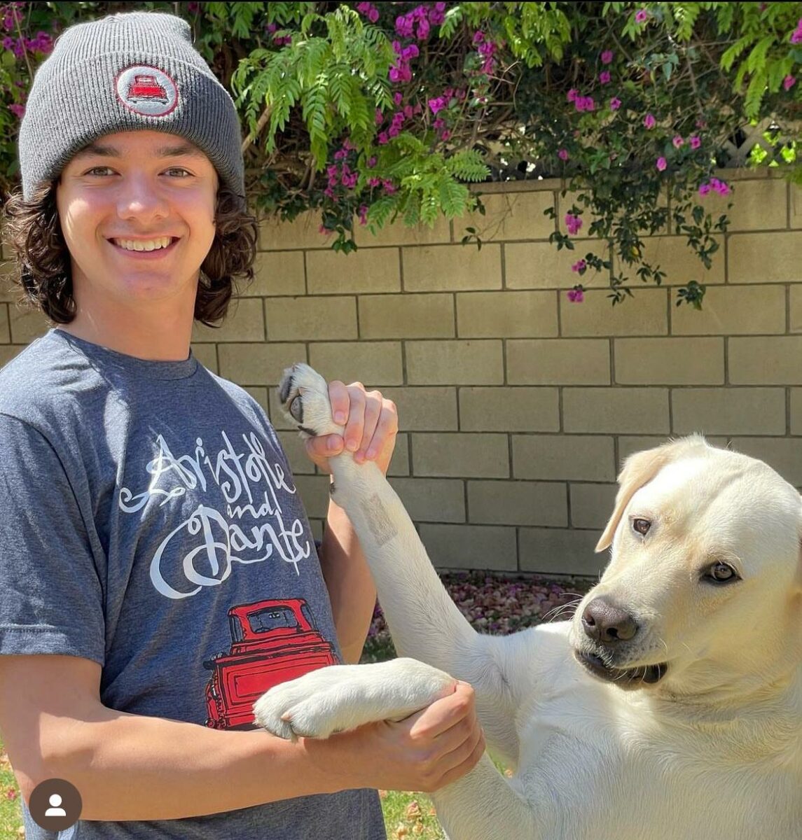 biografía artista película gay