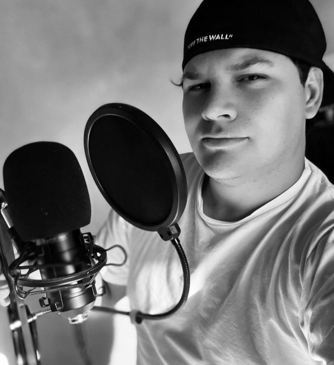 faceta de cantante del artista