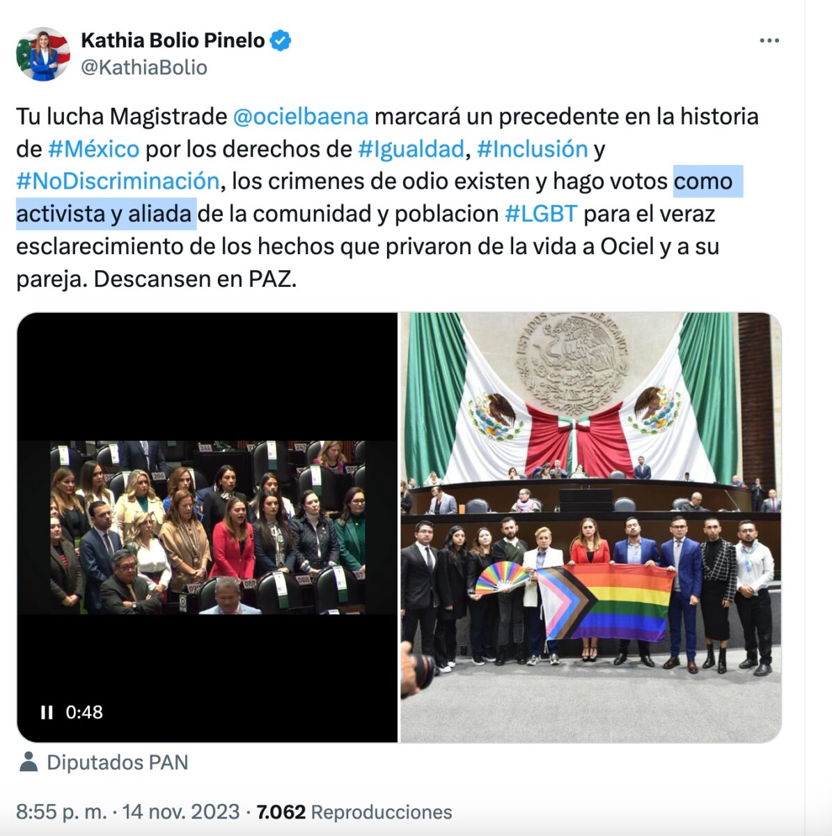 Kathia Bolio aliada heterosexual