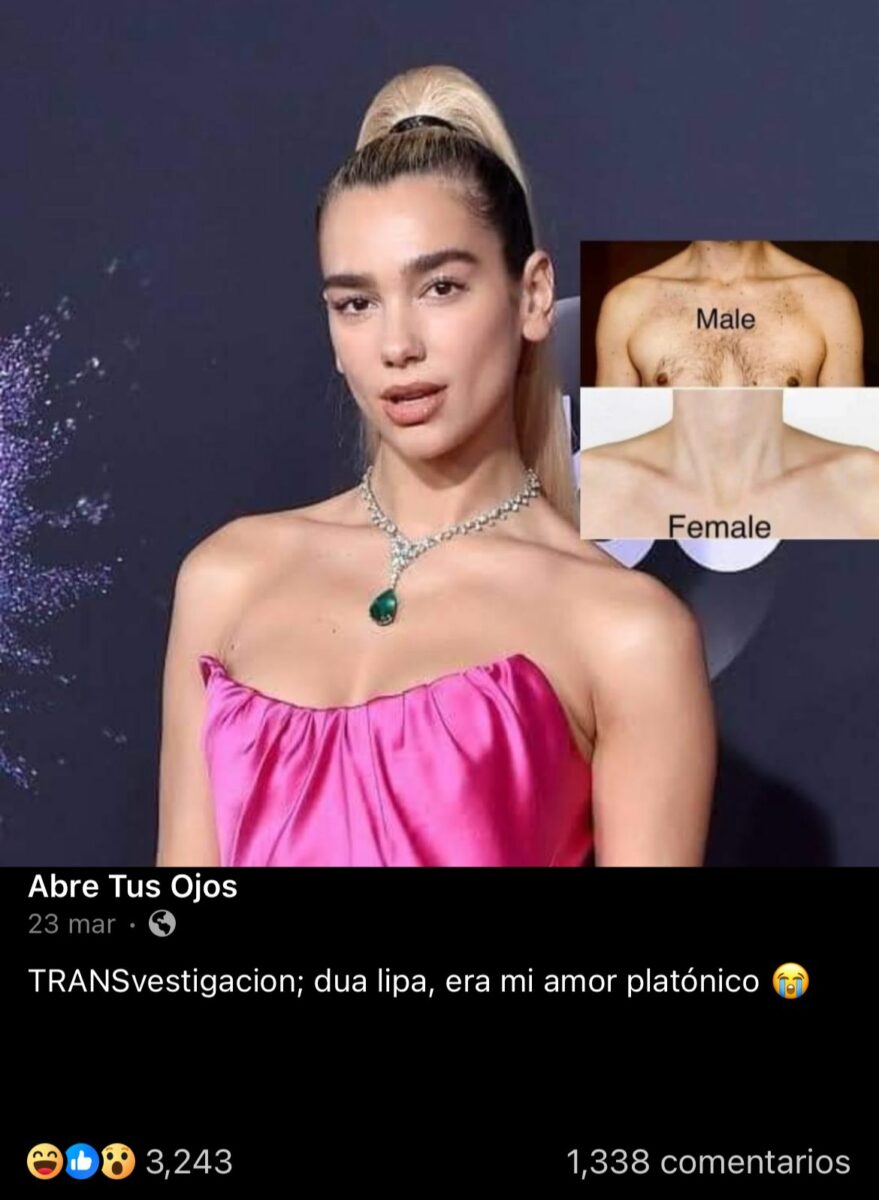 La cantante dua lipa es una mujer trans