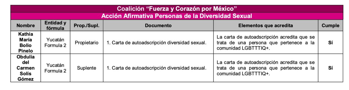 kathia bolio ine senado usurpación candidaturas cuotas arcoíris