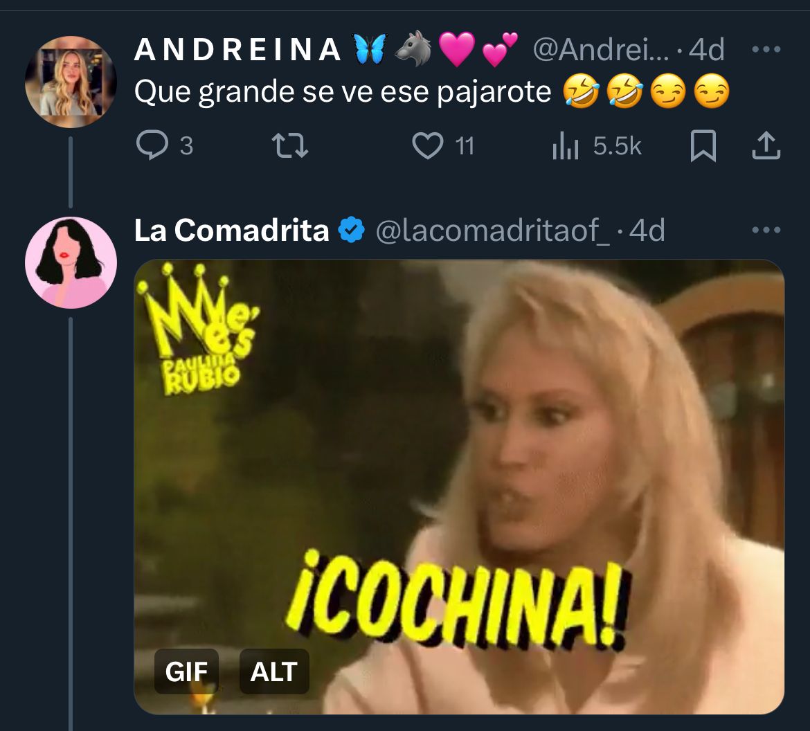 Miguel Melfi comentarios en Twitter de su video en shorts