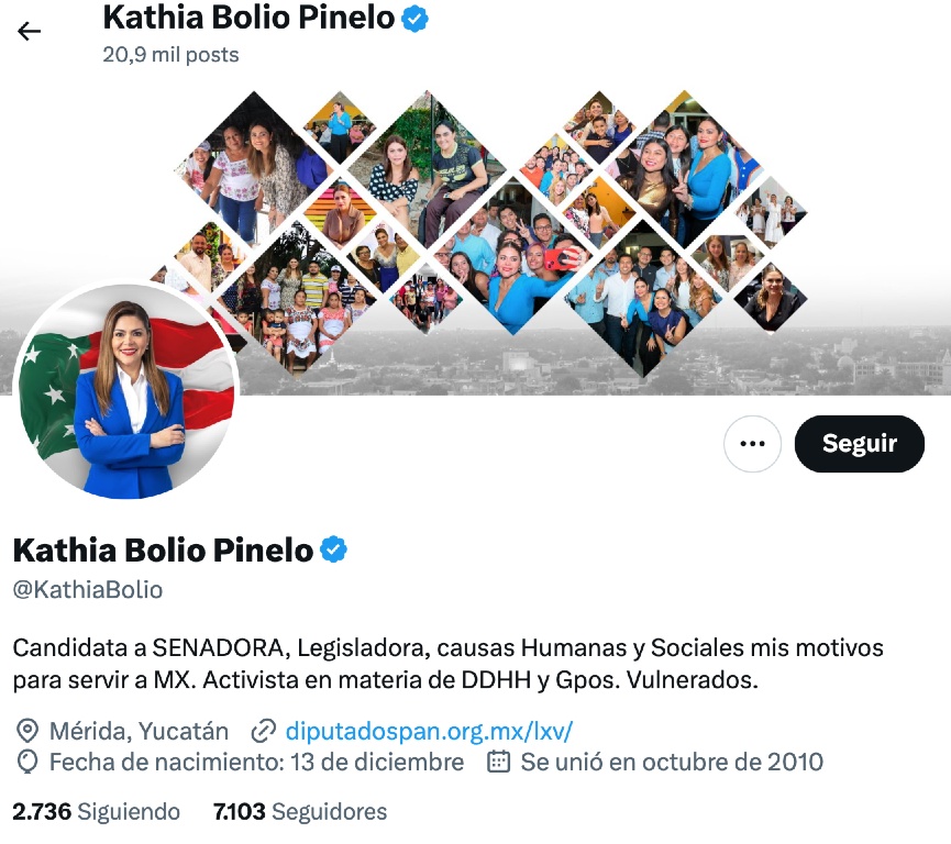 usurpación candidaturas cuotas arcoíris 