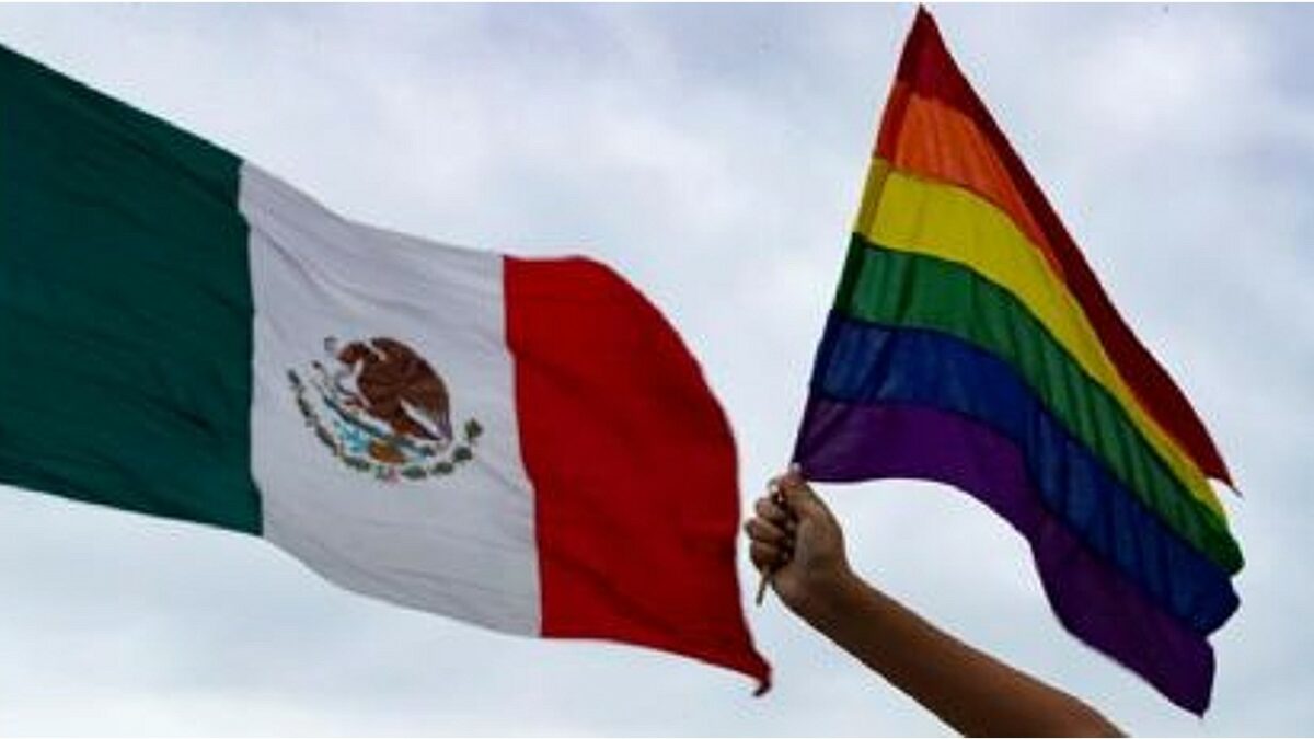 Candidaturas LGBT+ acciones afirmativas 2024