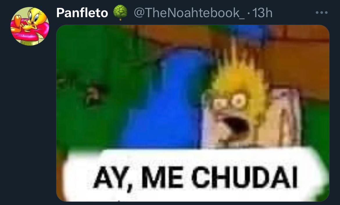 meme ay me chudai
