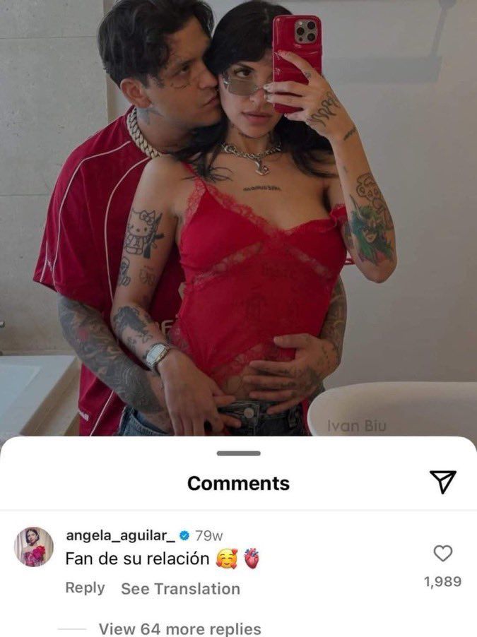 Fan de su relación memes uso ejemplos contexto