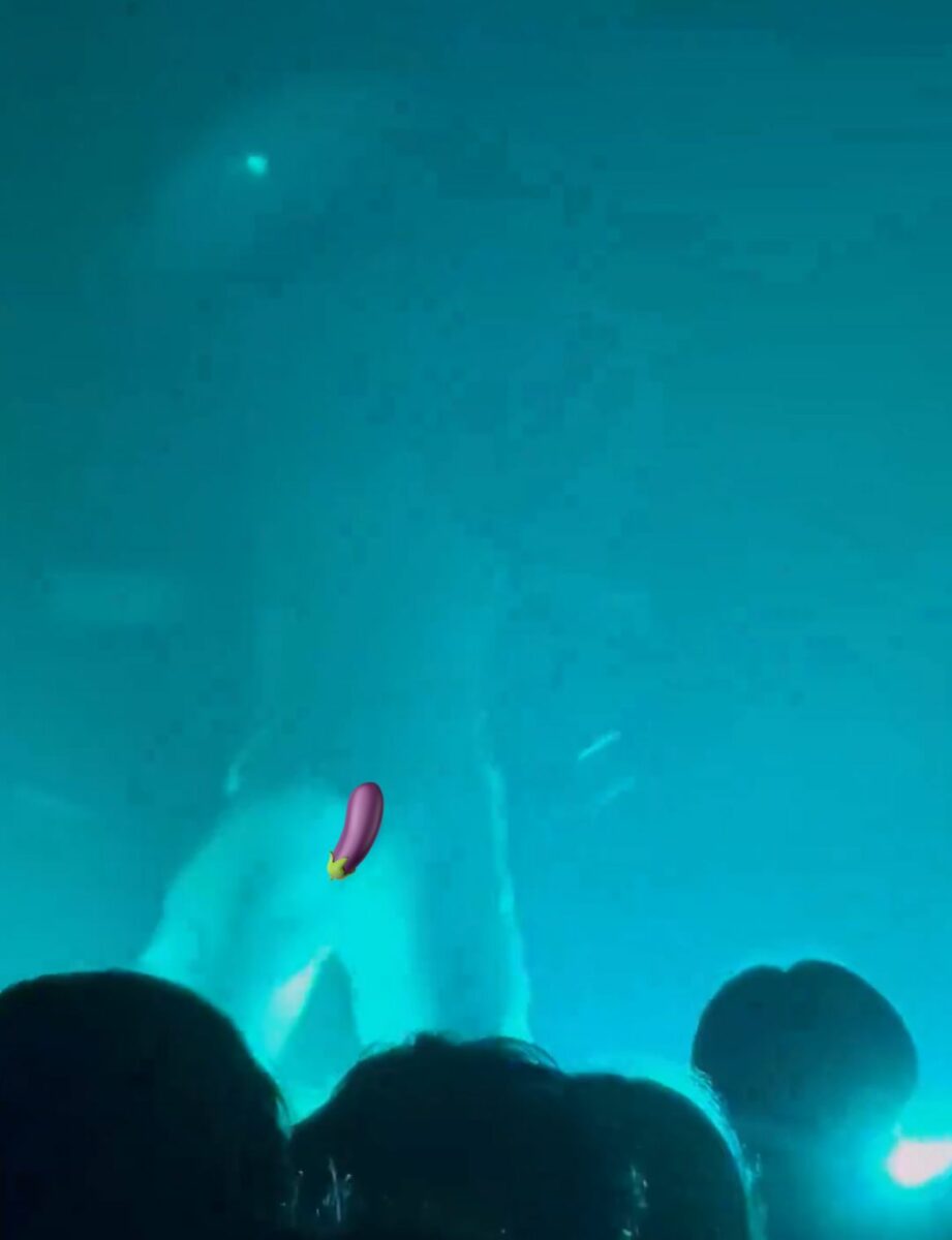 cantante video concierto 2024