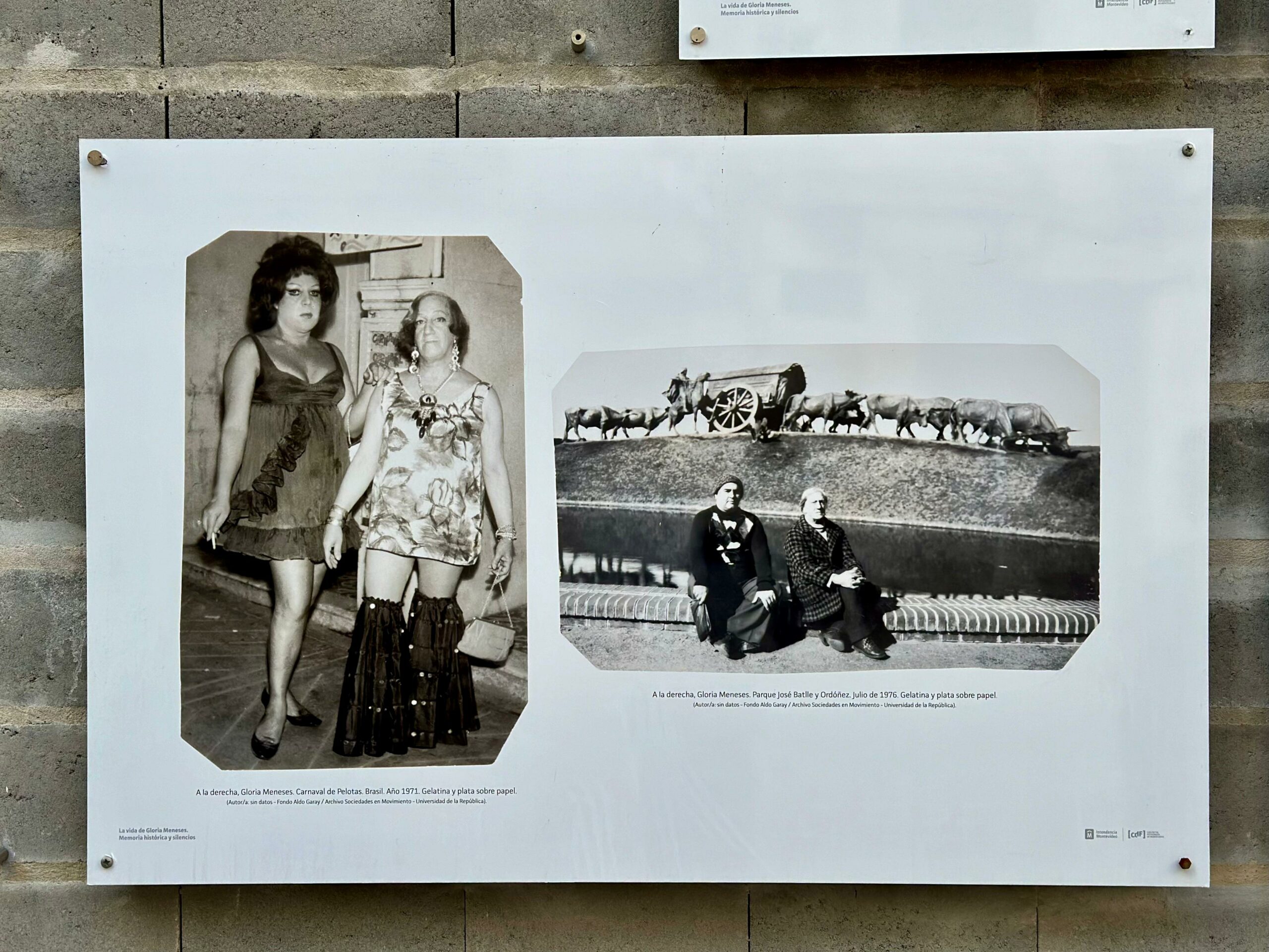 Gloria Meneses activista travesti uruguaya exposición